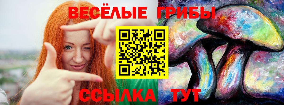 Галлюциногенные грибы GOLDEN TEACHER  Вход с VPN  Нижневартовск  Псилоцибиновые грибы Psilocybe 